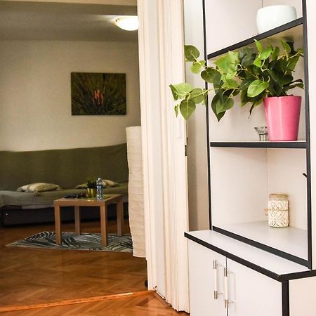 Apartment Kiwi Novi Sad Eksteriør bilde